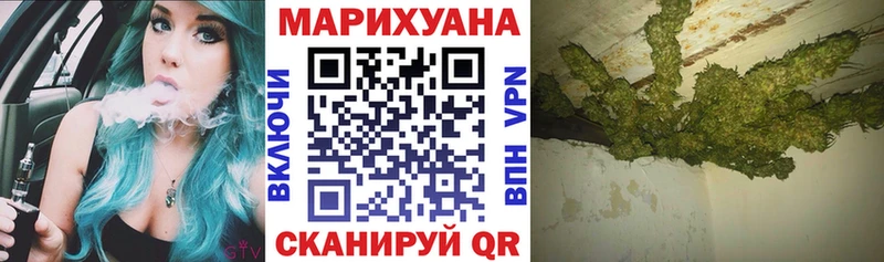 дарк нет телеграм  Енисейск  Шишки марихуана конопля 